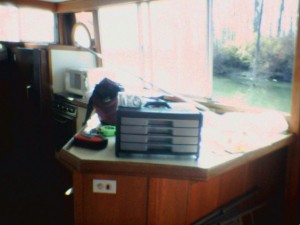 The galley section